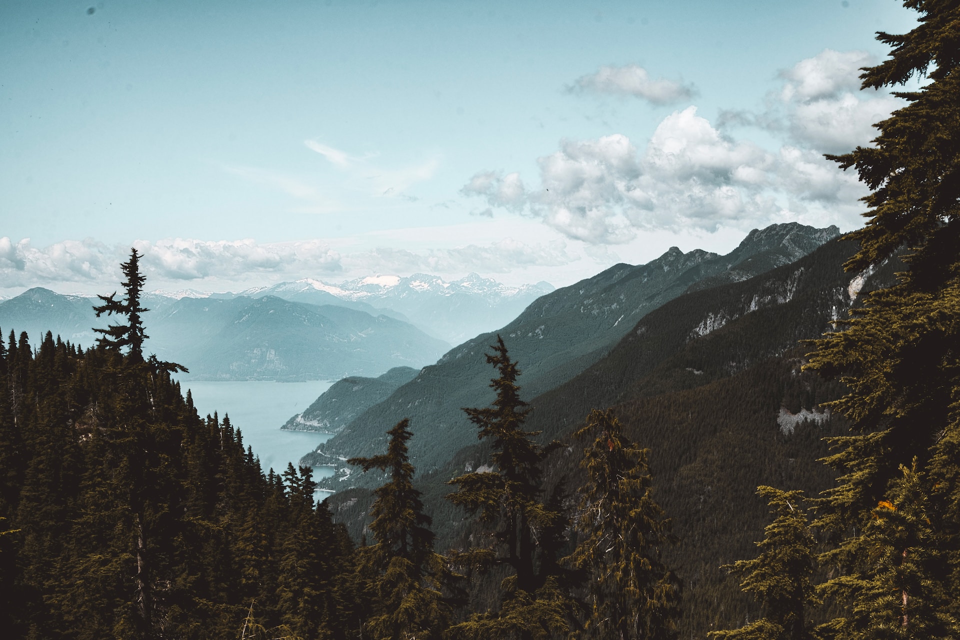 Port Alberni Uncovered: Homebuyer’s Guide to BC’s Gem