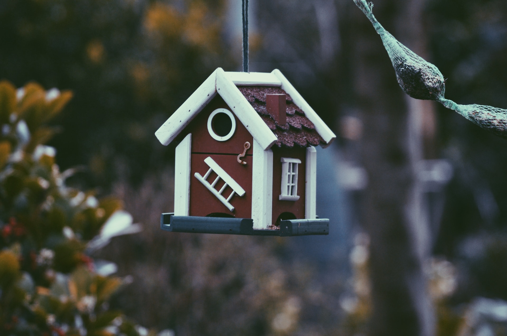 Real Estate Trends in Port Alberni, BC
