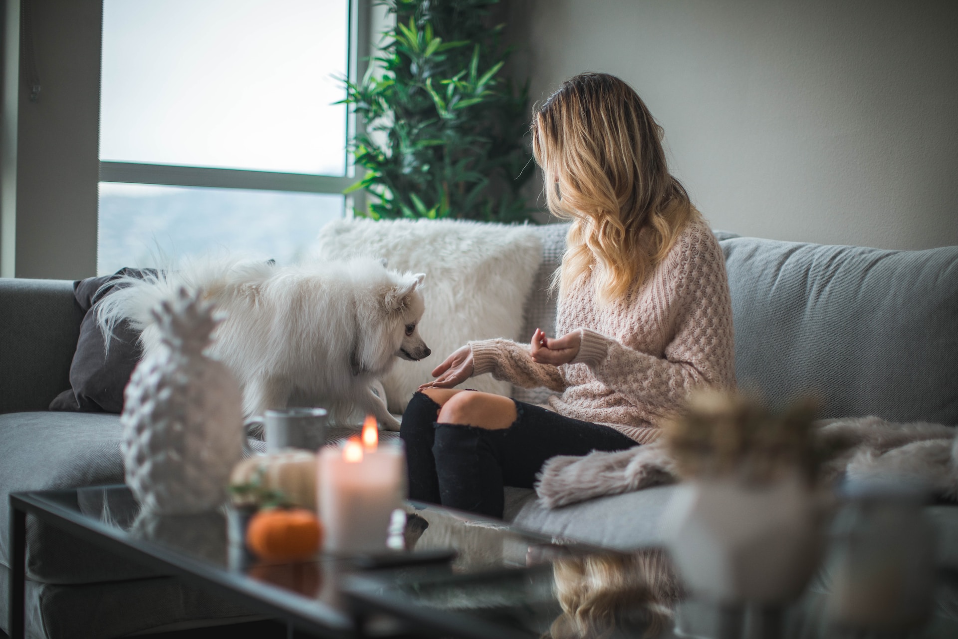 First Home Saving Account (FHSA) for Home Buyers in Port Alberni